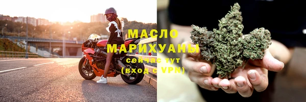мдпв Богородск