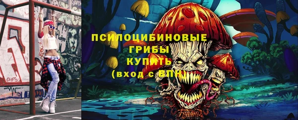 спайс Белокуриха