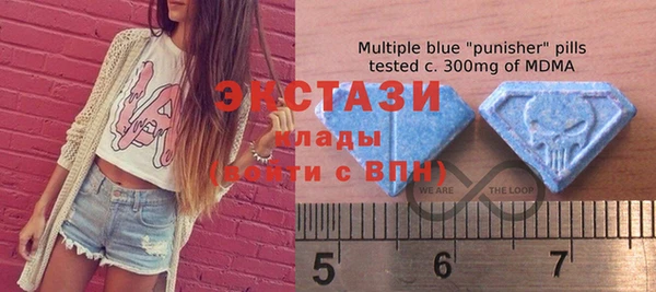 мдпв Богородск