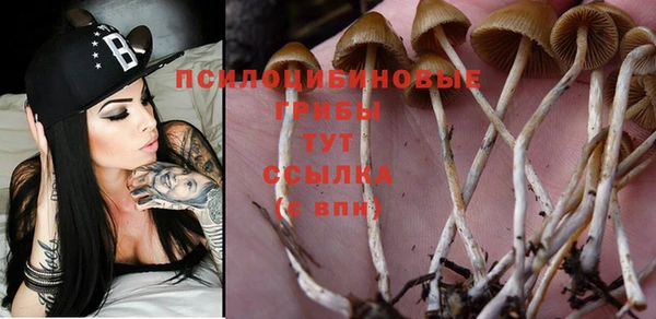 дмт Тобольск