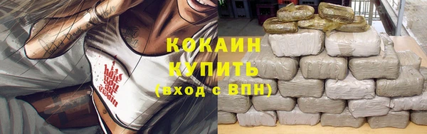 мдпв Богородск