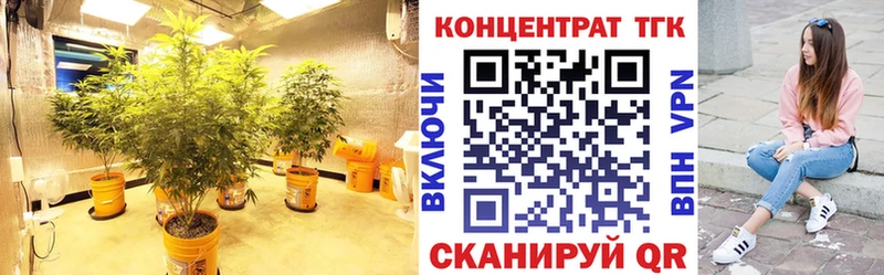 купить наркотики цена  Киржач  ТГК Wax 
