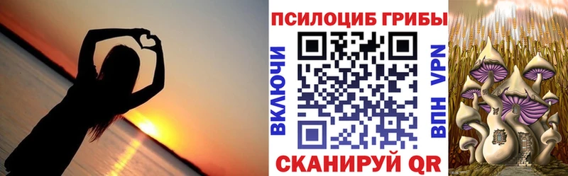 Галлюциногенные грибы Cubensis Киржач